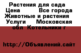 Растения для сада › Цена ­ 200 - Все города Животные и растения » Услуги   . Московская обл.,Котельники г.